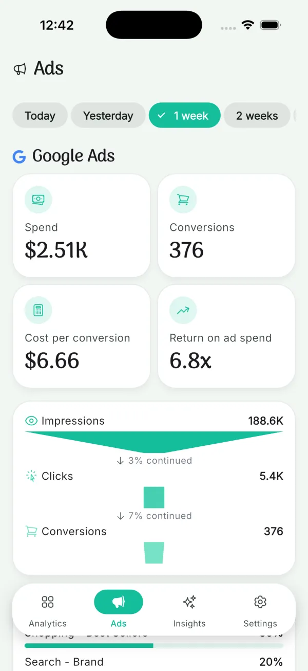 Google Ads spend and conversion funnel